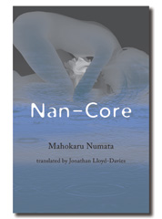 Nan-Core